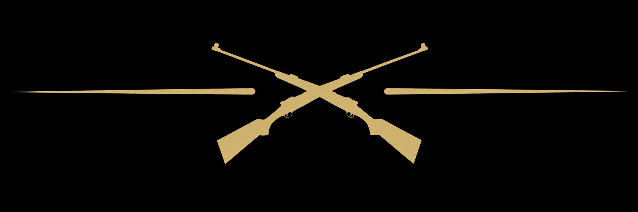 TS Guns